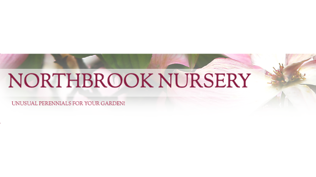 Northbrook